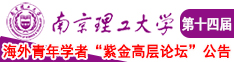 艹穴视频网南京理工大学第十四届海外青年学者紫金论坛诚邀海内外英才！